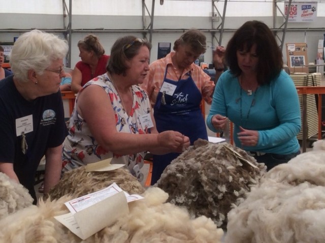 2018 All Canada Sheep Classic fleece competition judges